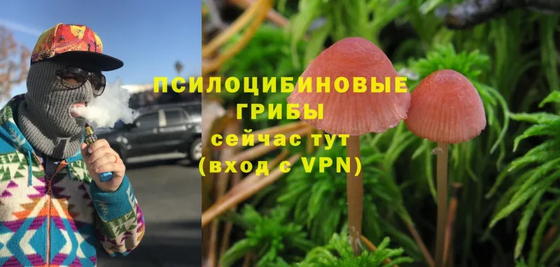 Галлюциногенные грибы Magic Shrooms  Покров 